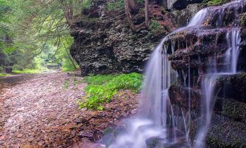 Turkey Path Trail Waterfall