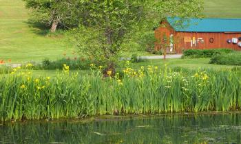 Frosty Hollow Pond