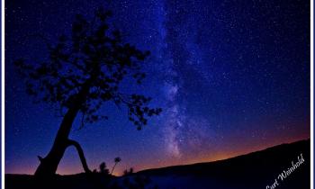 Frosty Hollow Night Sky