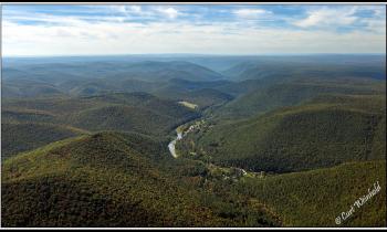 Pine Creek Gorge