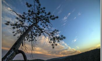 Frsoty Hollow Sky at Dusk