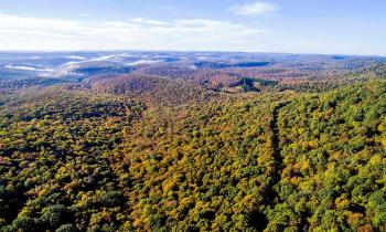 Grand Canyon of Pennsylvania