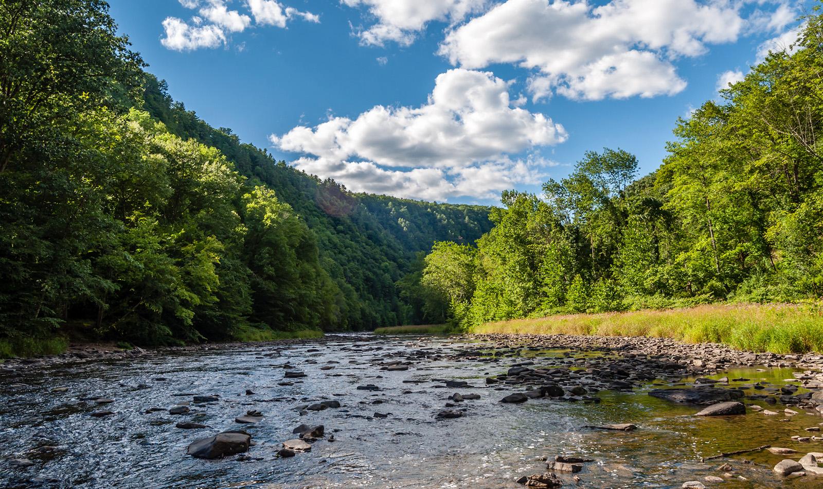 A scenic hiking trail winding through the Allegheny Mountains